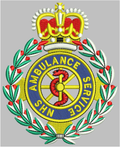 All NHS Ambulance Hoodie Logo