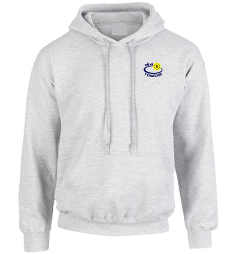 Gwyr Comprehensive 6th Form hoodie